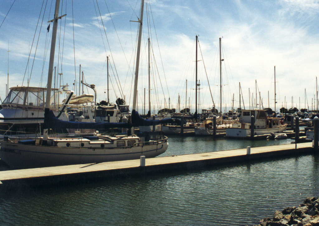 photograph of the San Leandro marina
